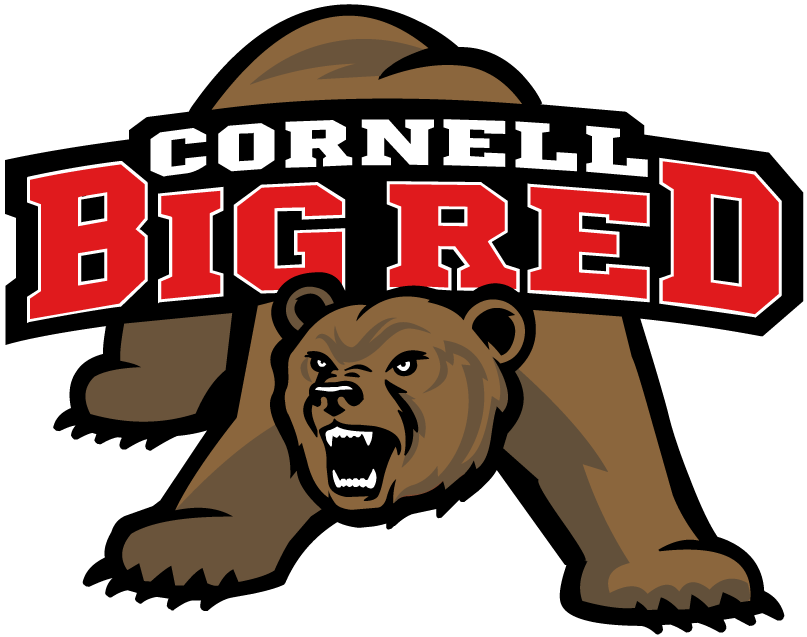 Cornell Big Red 1998-2001 Primary Logo t shirts iron on transfers